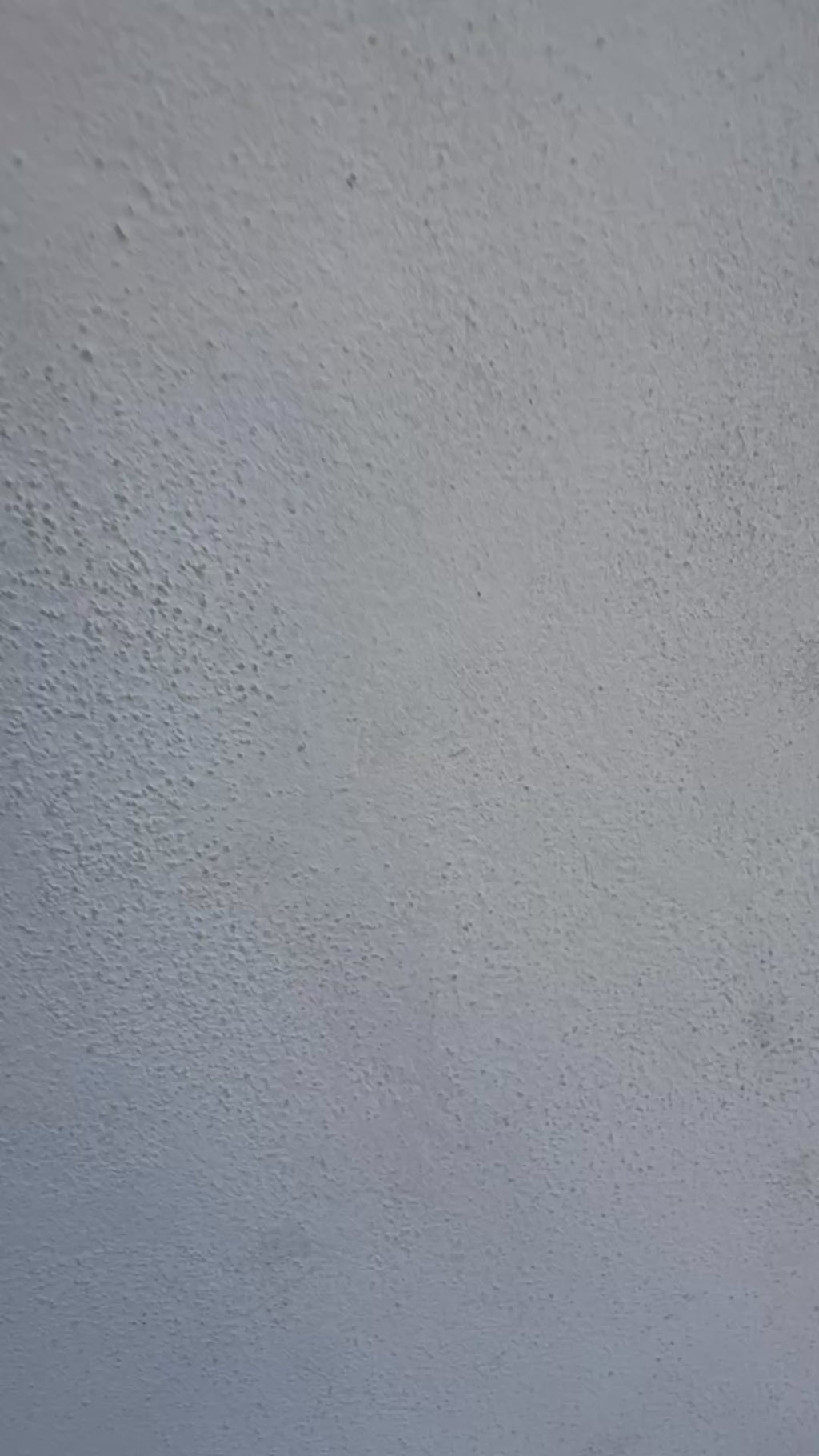 Borsa True lucida Nali