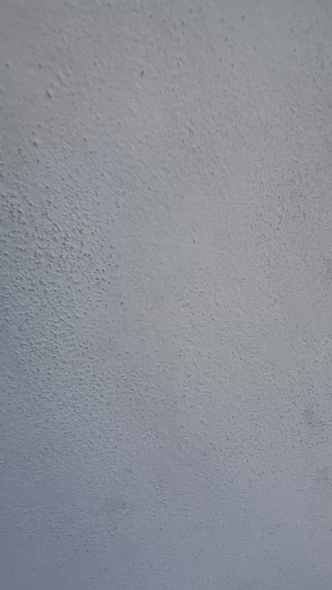 Borsa True lucida Nali